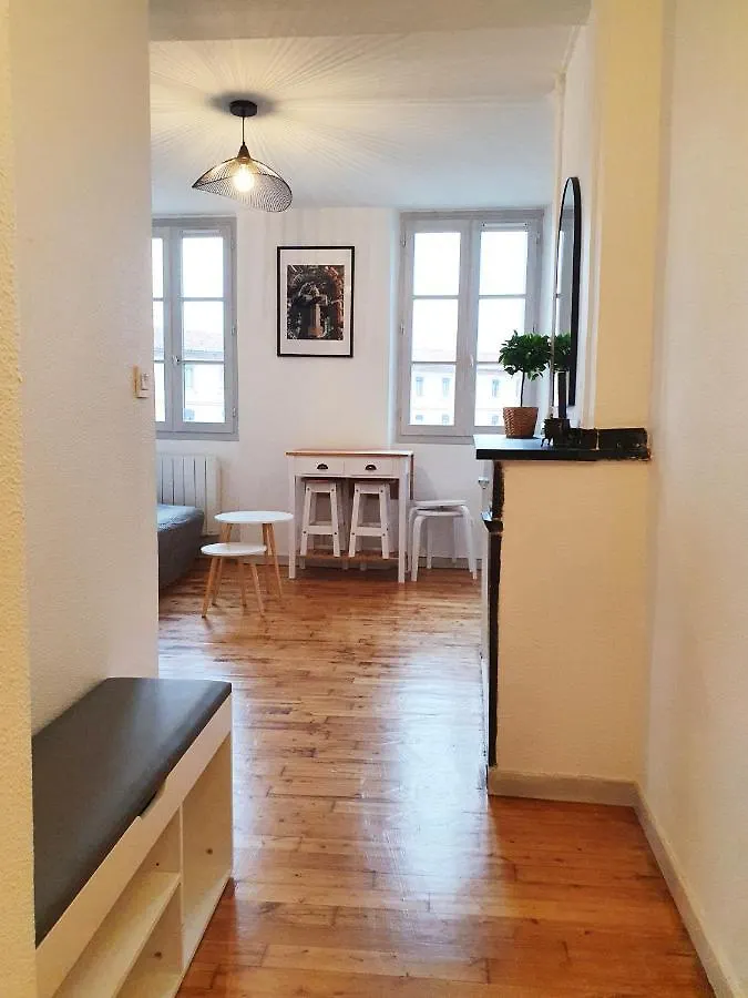 Charmant T1Bis Au Coeur De Toulouse Apartment