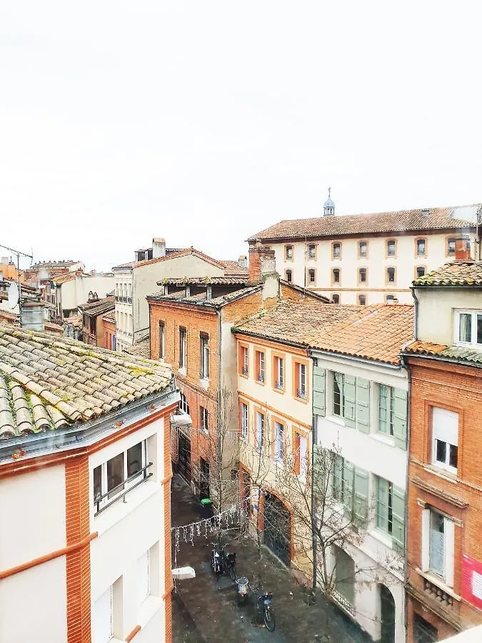 Charmant T1Bis Au Coeur De Toulouse Apartment 0*,