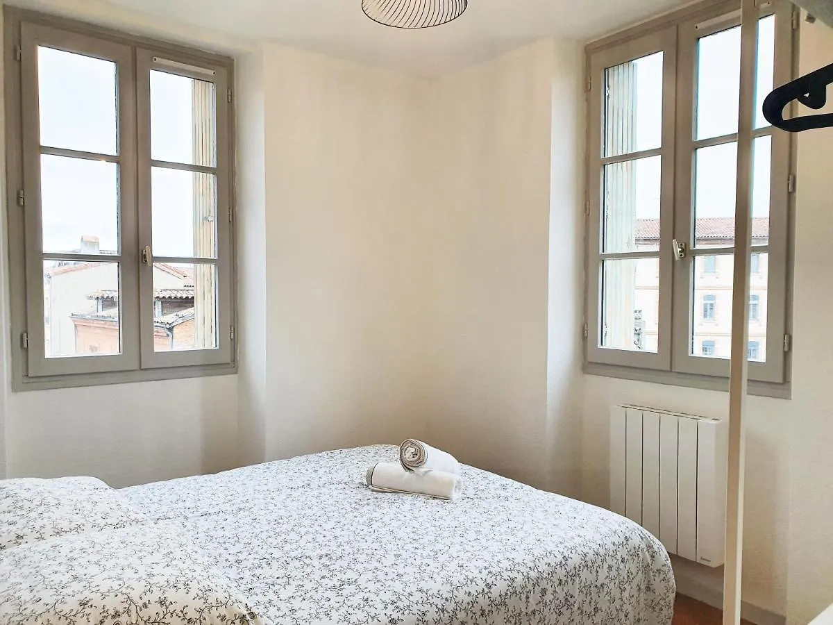Charmant T1Bis Au Coeur De Toulouse Apartment